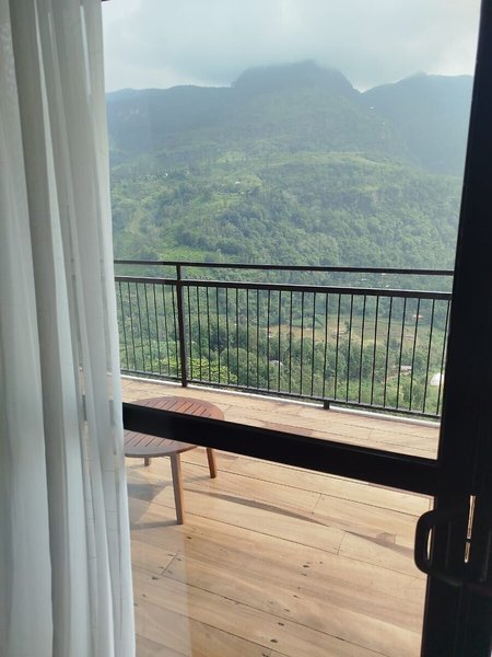 Oak Ray Tea Bush Ramboda 37