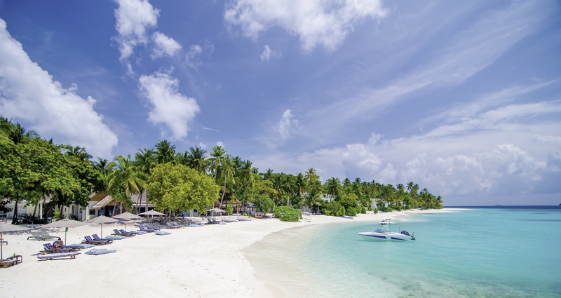 Amilla Fushi 3