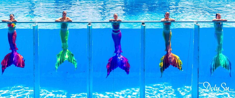 Daima Biz Hotel - Dolusu Aquapark Access 99