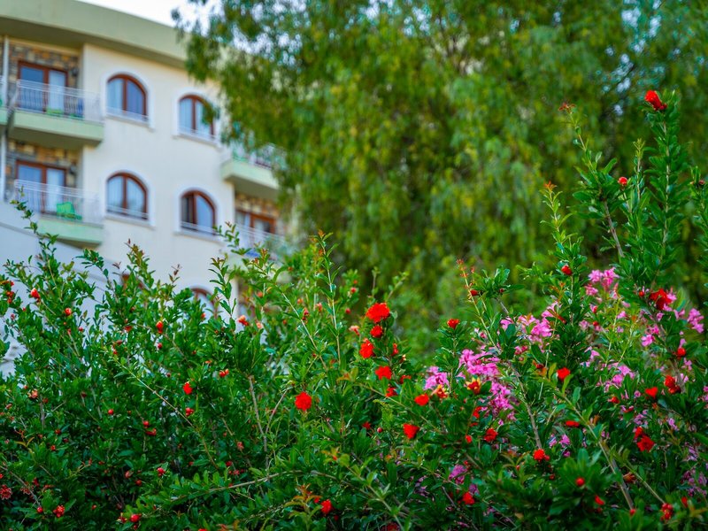 Riva Bodrum Resort 6