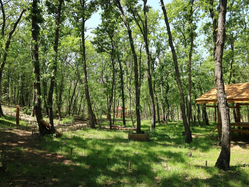 Hotel Bellevue Golden Sands 2