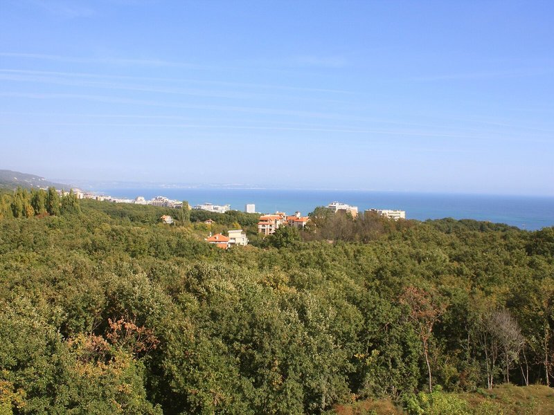 Hotel Bellevue Golden Sands 4