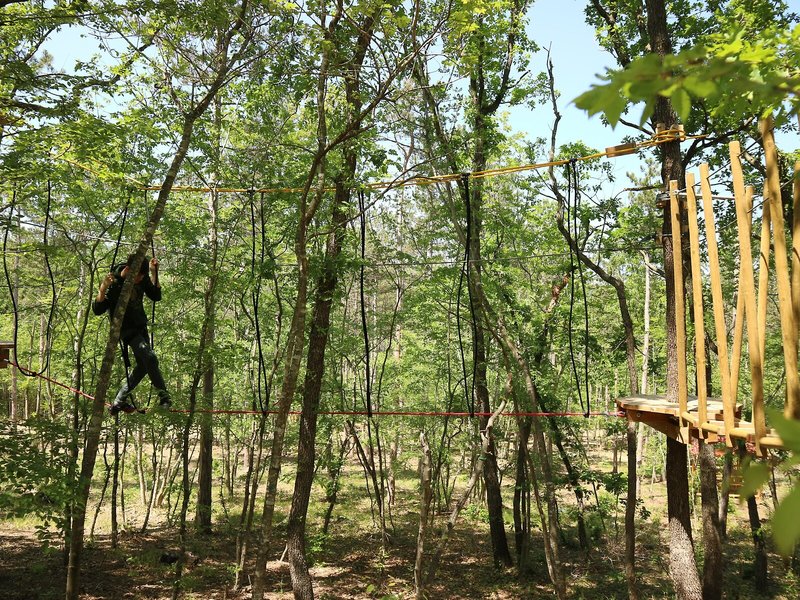 Hotel Bellevue Golden Sands 7