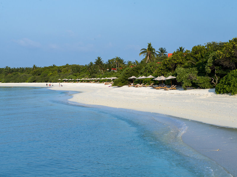 The Barefoot Eco Hotel 8