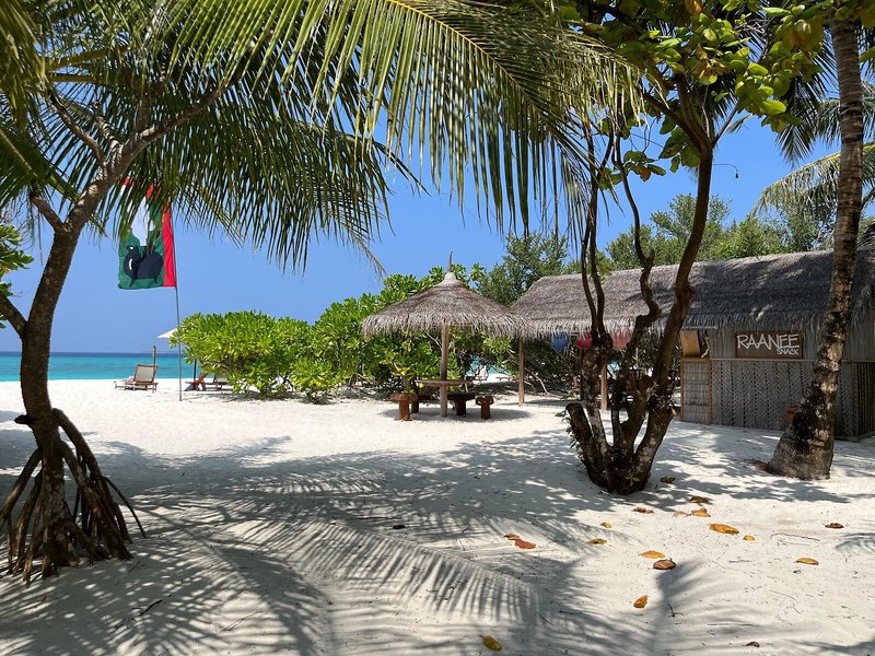 The Barefoot Eco Hotel 48