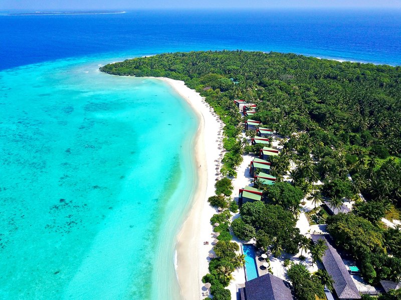 The Barefoot Eco Hotel 1