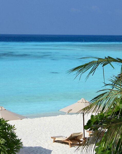 The Barefoot Eco Hotel 3