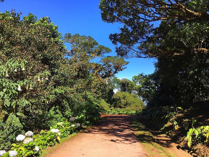 Poas Volcano Lodge 3 - Landscape