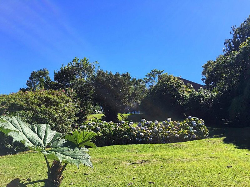Poas Volcano Lodge 4 - Landscape