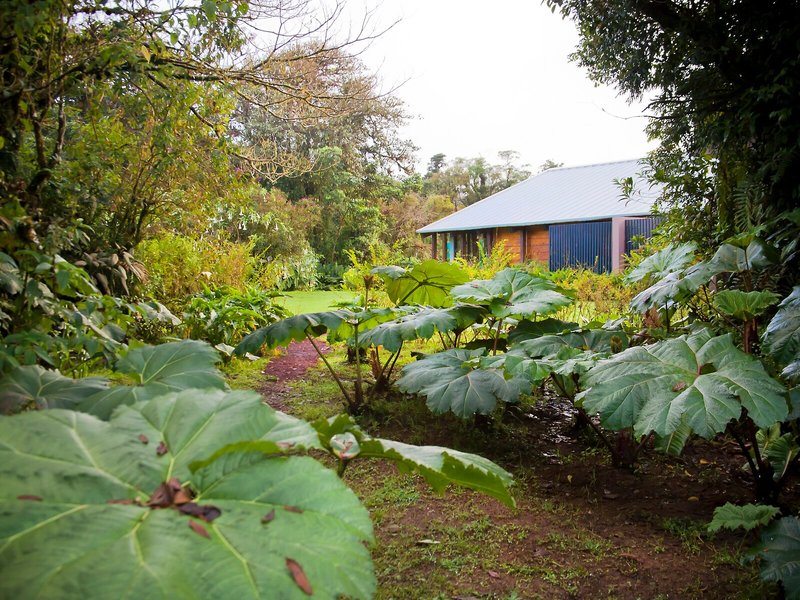 Poas Volcano Lodge 7 - Landscape