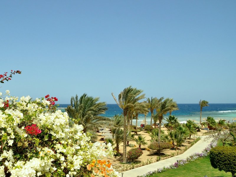Royal Brayka Resort 7 - Garden
