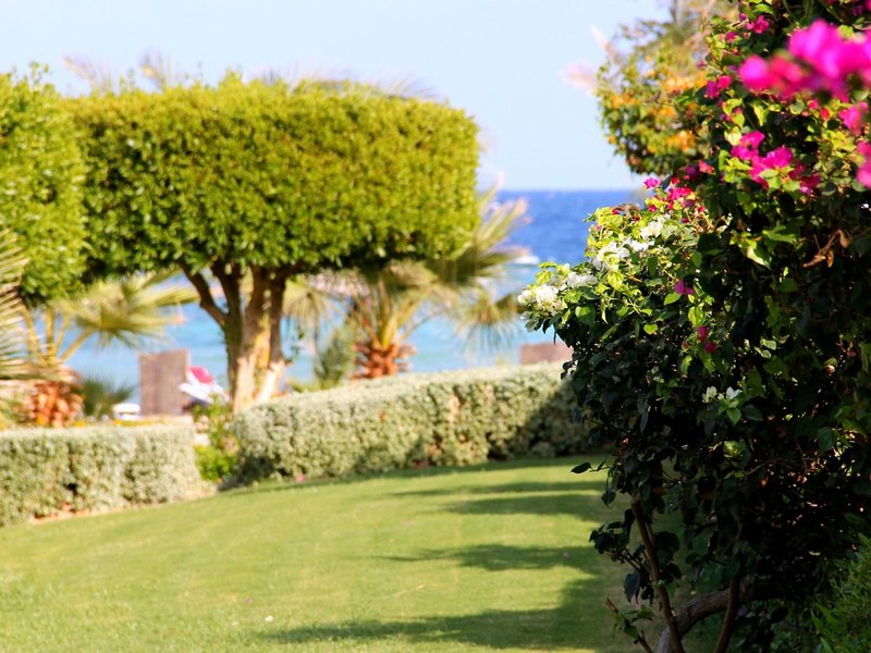 Royal Brayka Resort 20 - Exterior