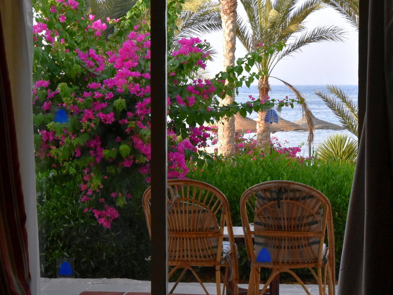 Royal Brayka Resort 26 - Room Example