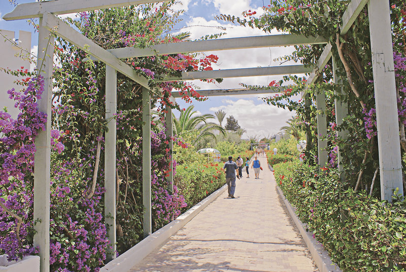 El Mouradi Club Selima 13