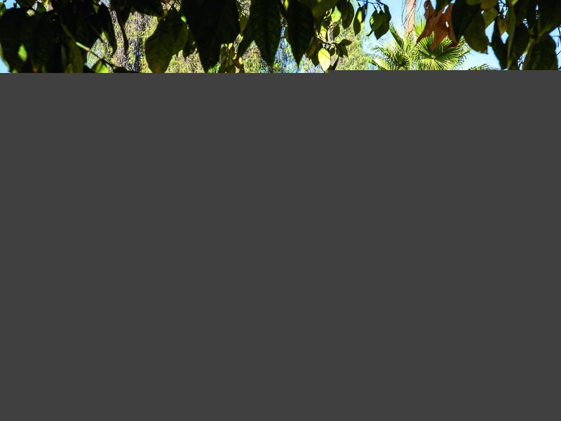 TUI BLUE Medina Gardens 8