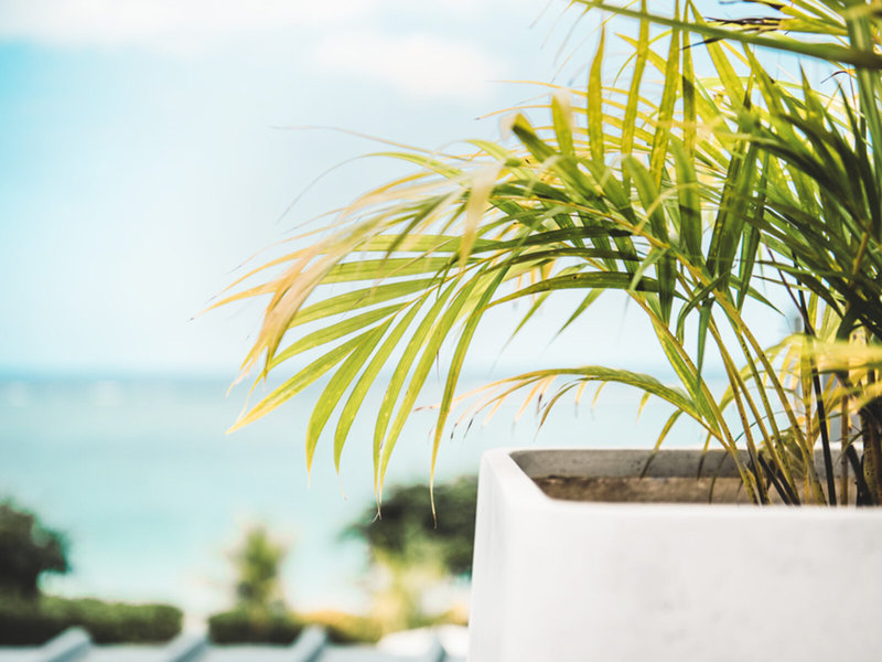 Cap Ouest 11 - Beach