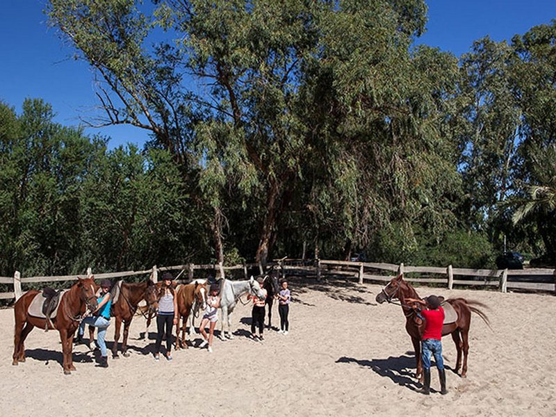 Sahara Beach Aquapark Resort 35