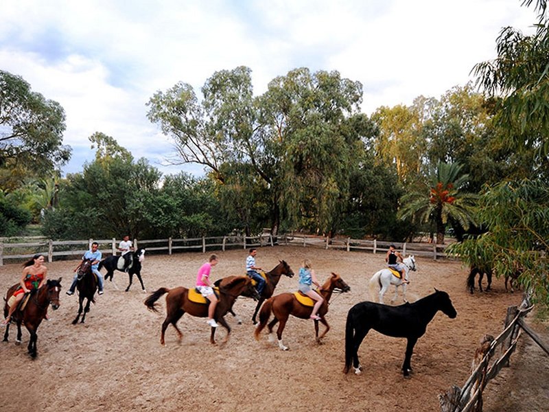 Sahara Beach Aquapark Resort 37