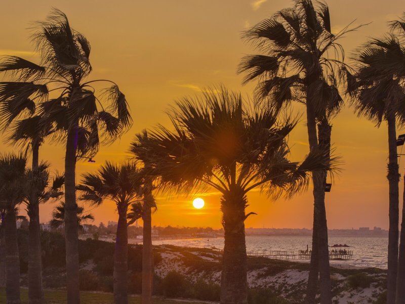 Hilton Skanes Monastir Beach Resort 5