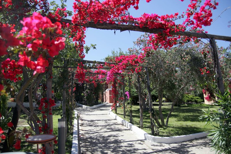 TH COSTA REI Free Beach Resort 10