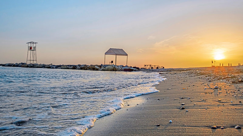 Aydinbey Gold Dreams 10