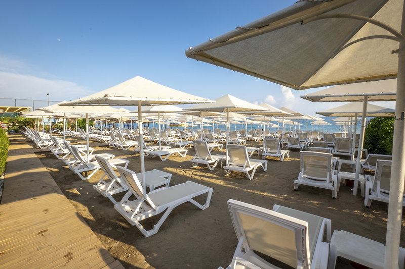 Aydinbey Gold Dreams 18