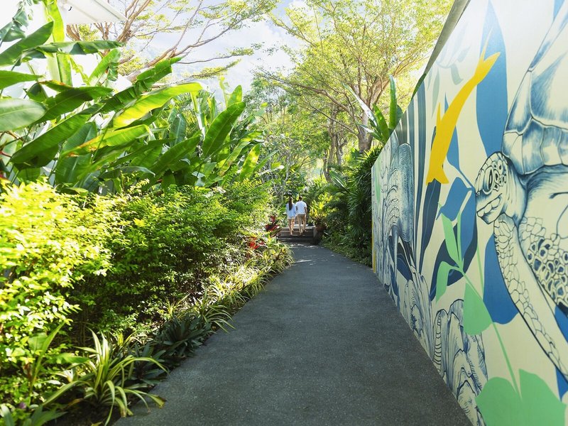 Explorar Koh Phangan 18