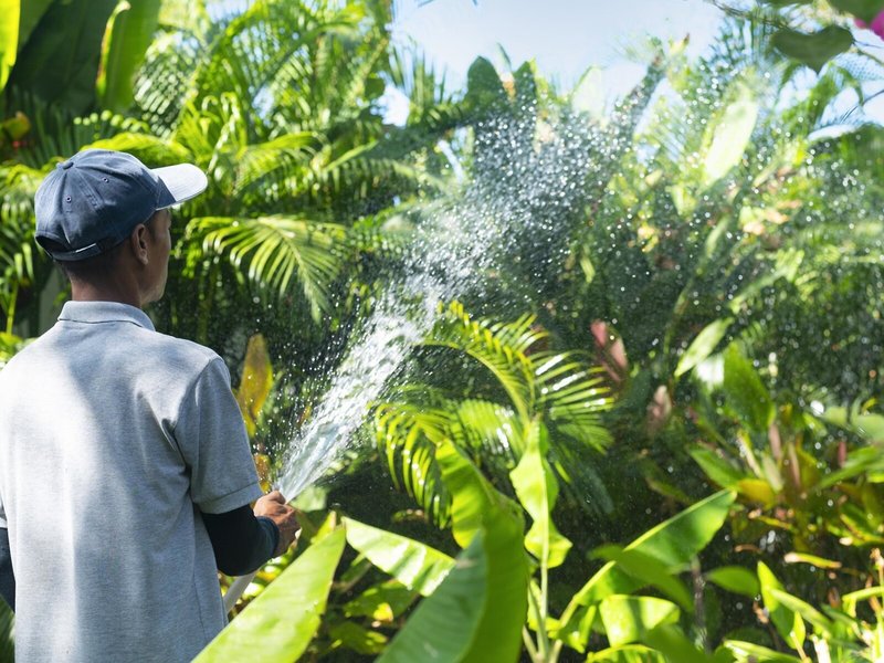 Explorar Koh Phangan 19