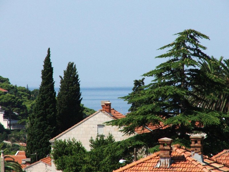 Dubrovnik Lapad Apartments 3