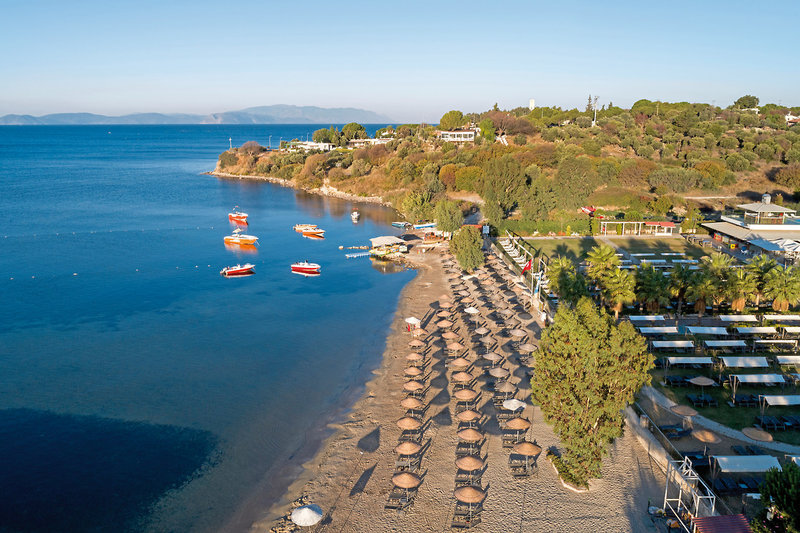 Amara Sealight Elite 15