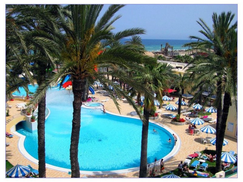 Marabout 19