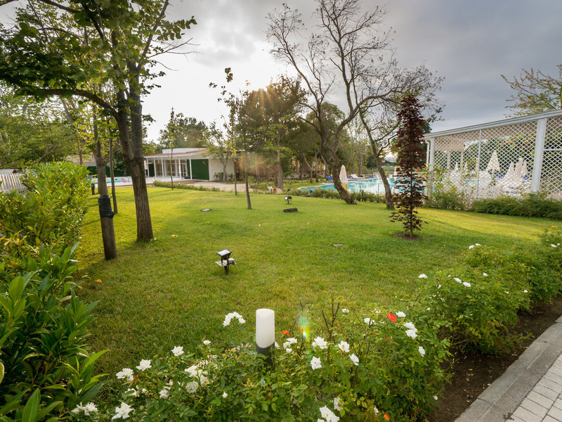 Royal Perla 16 - Garden