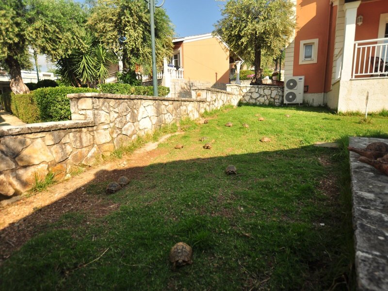 Michelangelo Resort 21