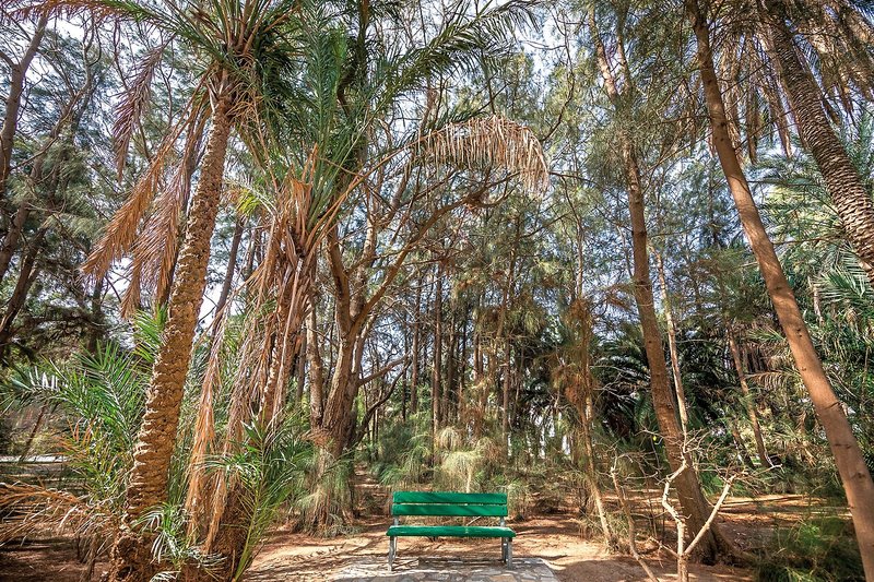 Marhaba Royal Salem 24