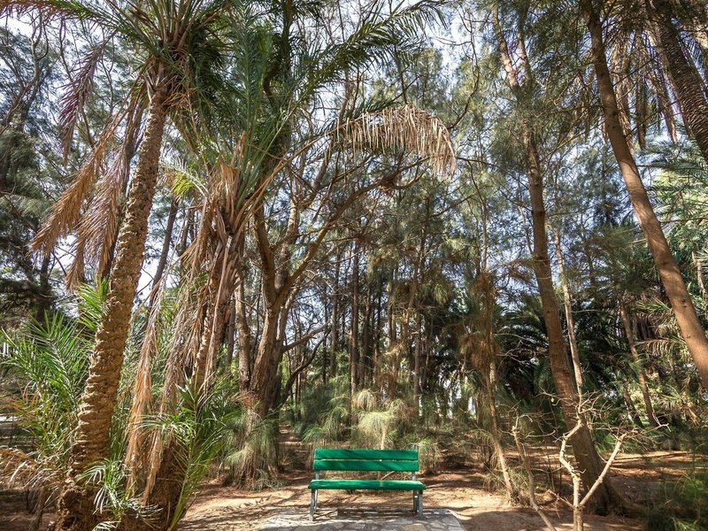 Marhaba Royal Salem 11