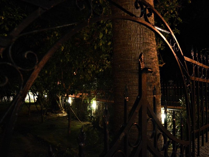 Chryssi Akti & Paradise Beach - Paradise Beach 6