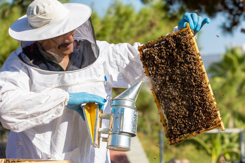 LABRANDA Lebedos Princess 22