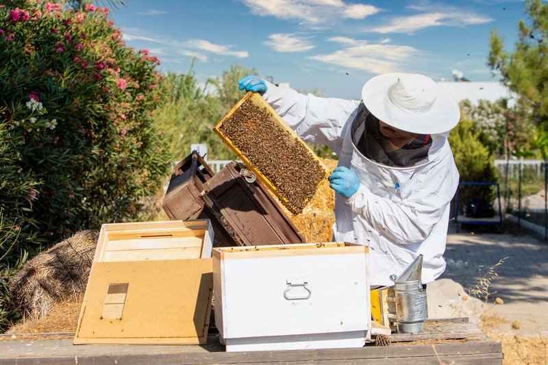 LABRANDA Lebedos Princess 23