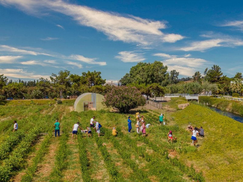 LABRANDA Lebedos Princess 37