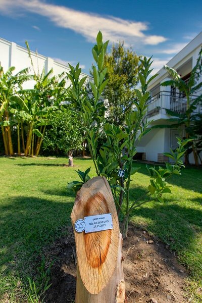 LABRANDA Lebedos Princess 42