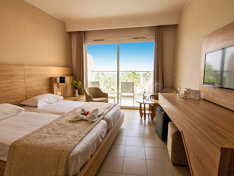 Riadh Palms 8