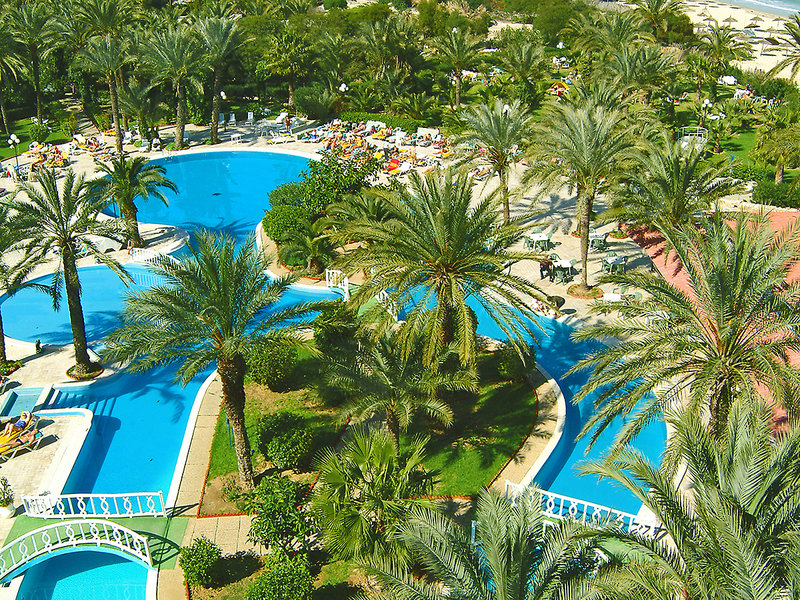 Riadh Palms 10