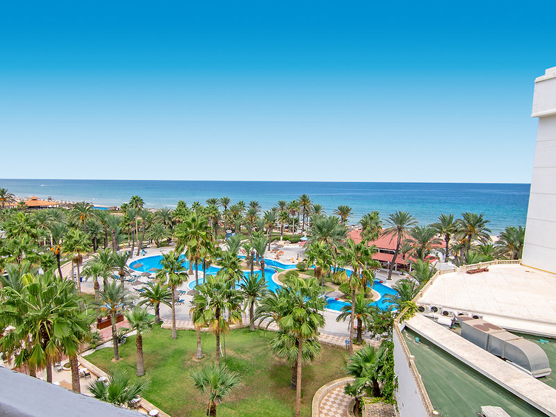 Riadh Palms 19