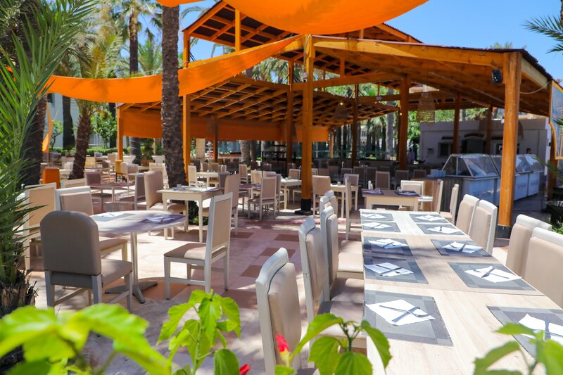 Riadh Palms 9