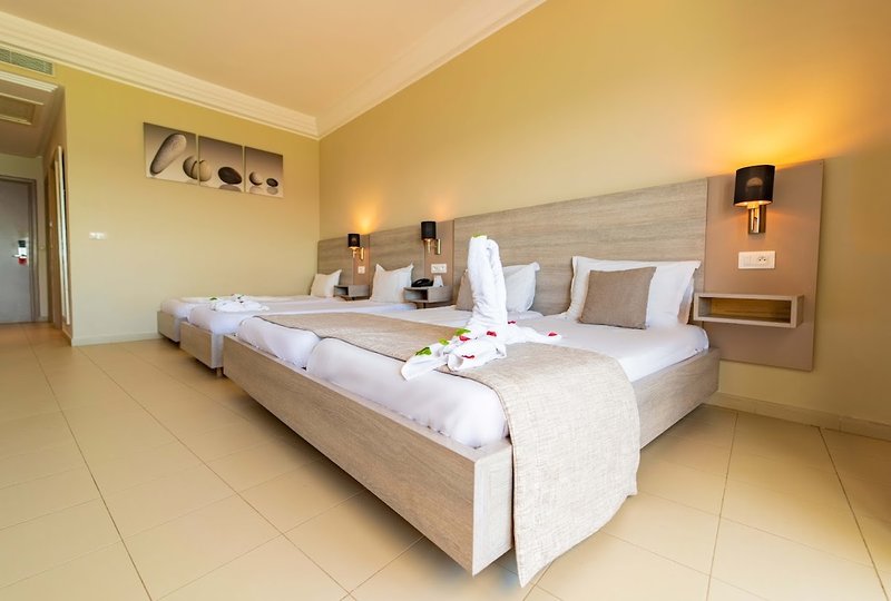 Riadh Palms 11