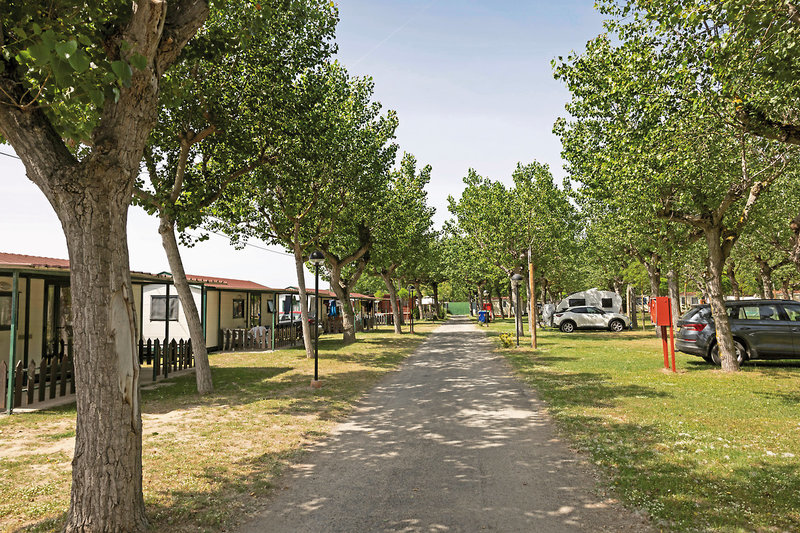 Camping Classe 14 - Sports and leisure