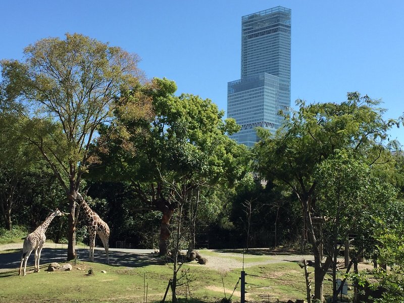 Osaka Marriott Miyako 7 - Landscape