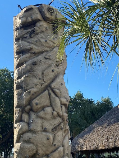 SpringHill Suites Orlando Lake Buena Vista South