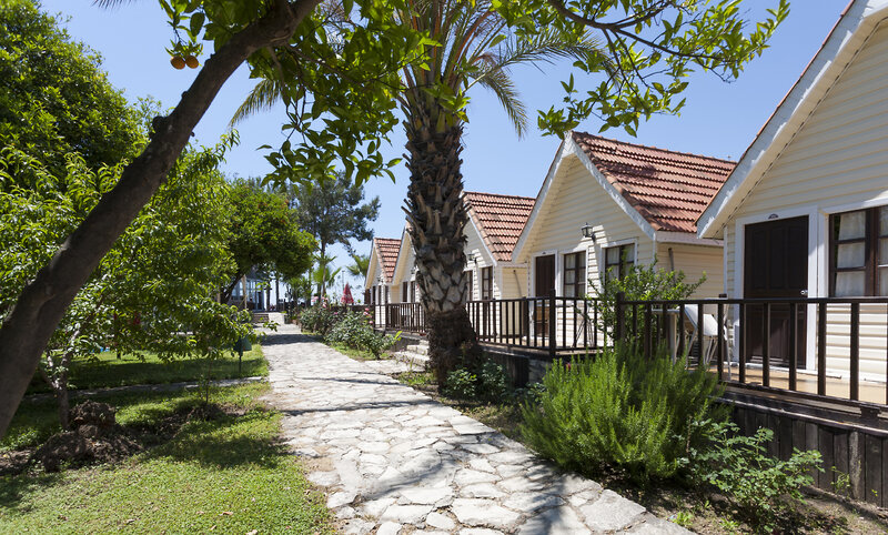 Clover Magic Nova Beach Hotel 1