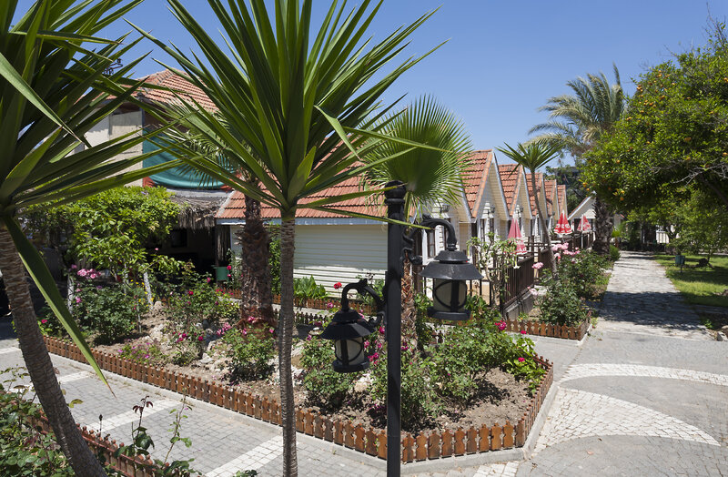 Clover Magic Nova Beach Hotel 3